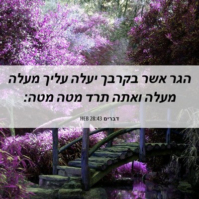 Picture 06 - דברים 28:43 HEB - הגר אשר בקרבך יעלה עליך - Bible Verse Picture