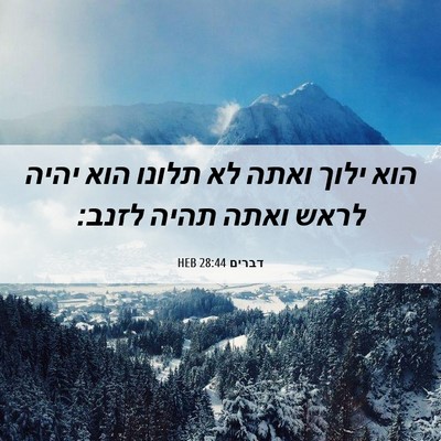 Picture 06 - דברים 28:44 HEB - הוא ילוך ואתה לא תלונו הוא - Bible Verse Picture
