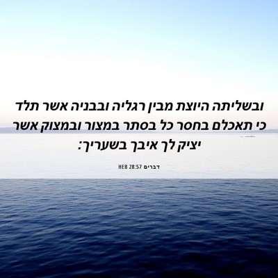 Picture 06 - דברים 28:57 HEB - ובשליתה היוצת מבין רגליה - Bible Verse Picture