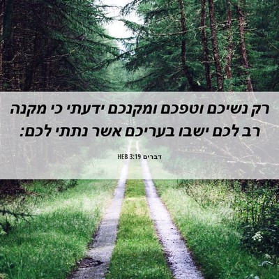 Picture 06 - דברים 3:19 HEB - רק נשיכם וטפכם ומקנכם - Bible Verse Picture