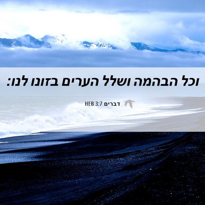 Picture 06 - דברים 3:7 HEB - וכל הבהמה ושלל הערים בזונו - Bible Verse Picture