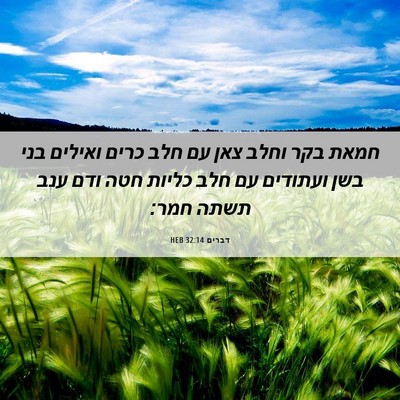 Picture 06 - דברים 32:14 HEB - חמאת בקר וחלב צאן עם חלב - Bible Verse Picture
