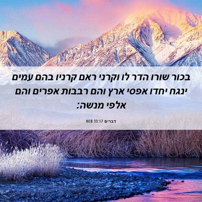 Picture 06 - דברים 33:17 HEB - בכור שורו הדר לו וקרני ראם - Bible Verse Picture
