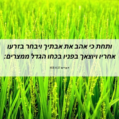 Picture 06 - דברים 4:37 HEB - ותחת כי אהב את אבתיך ויבחר - Bible Verse Picture