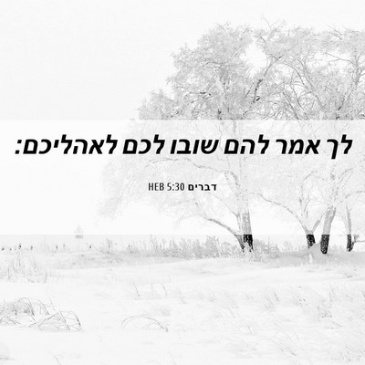 Picture 06 - דברים 5:30 HEB - לך אמר להם שובו לכם - Bible Verse Picture