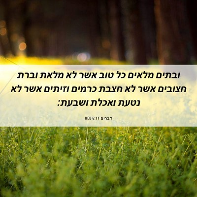 Picture 06 - דברים 6:11 HEB - ובתים מלאים כל טוב אשר לא - Bible Verse Picture