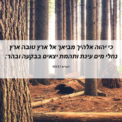 Picture 06 - דברים 8:7 HEB - כי יהוה אלהיך מביאך אל ארץ - Bible Verse Picture