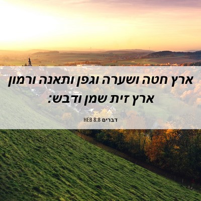 Picture 06 - דברים 8:8 HEB - ארץ חטה ושערה וגפן ותאנה - Bible Verse Picture