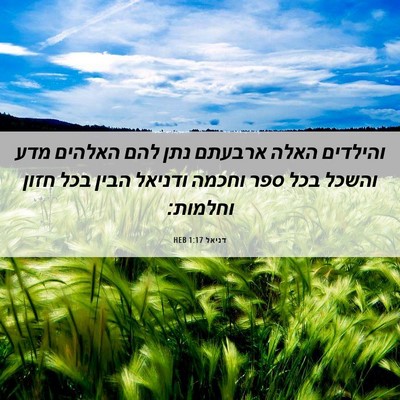 Picture 06 - דניאל 1:17 HEB - והילדים האלה ארבעתם נתן - Bible Verse Picture