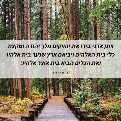 Picture 06 - דניאל 1:2 HEB - ויתן אדני בידו את יהויקים - Bible Verse Picture