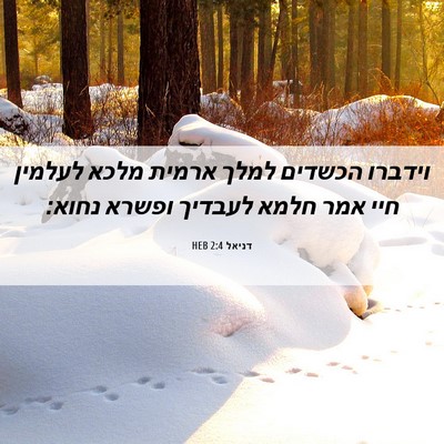 Picture 06 - דניאל 2:4 HEB - וידברו הכשדים למלך ארמית - Bible Verse Picture