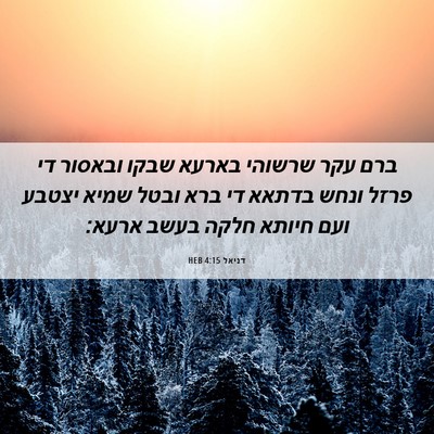 Picture 06 - דניאל 4:15 HEB - ברם עקר שרשוהי בארעא שבקו - Bible Verse Picture