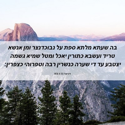 Picture 06 - דניאל 4:33 HEB - בה שעתא מלתא ספת על - Bible Verse Picture