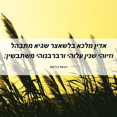Picture 06 - דניאל 5:9 HEB - אדין מלכא בלשאצר שגיא - Bible Verse Picture