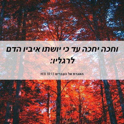 Picture 06 - האגרת אל העברים 10:13 HEB - וחכה יחכה עד כי יושתו איביו - Bible Verse Picture