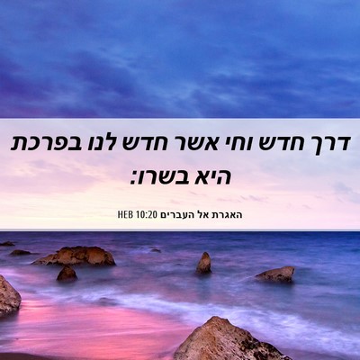 Picture 06 - האגרת אל העברים 10:20 HEB - דרך חדש וחי אשר חדש לנו - Bible Verse Picture