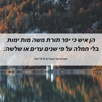 Picture 06 - האגרת אל העברים 10:28 HEB - הן איש כי יפר תורת משה מות - Bible Verse Picture