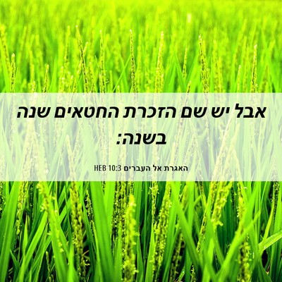 Picture 06 - האגרת אל העברים 10:3 HEB - אבל יש שם הזכרת החטאים שנה - Bible Verse Picture