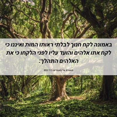 Picture 06 - האגרת אל העברים 11:5 HEB - באמונה לקח חנוך לבלתי - Bible Verse Picture