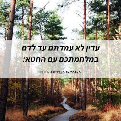 Picture 06 - האגרת אל העברים 12:4 HEB - עדין לא עמדתם עד לדם - Bible Verse Picture