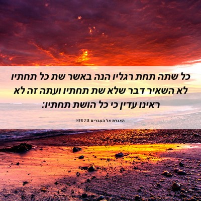 Picture 06 - האגרת אל העברים 2:8 HEB - כל שתה תחת רגליו הנה באשר - Bible Verse Picture