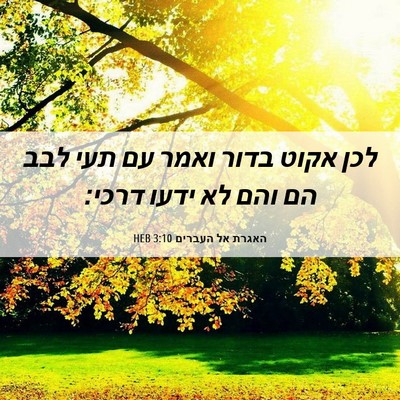 Picture 06 - האגרת אל העברים 3:10 HEB - לכן אקוט בדור ואמר עם תעי - Bible Verse Picture