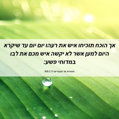 Picture 06 - האגרת אל העברים 3:13 HEB - אך הוכח תוכיחו איש את רעהו - Bible Verse Picture