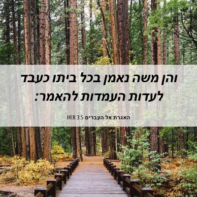 Picture 06 - האגרת אל העברים 3:5 HEB - והן משה נאמן בכל ביתו כעבד - Bible Verse Picture