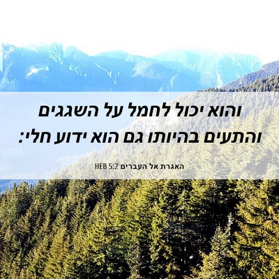 Picture 06 - האגרת אל העברים 5:2 HEB - והוא יכול לחמל על השגגים - Bible Verse Picture