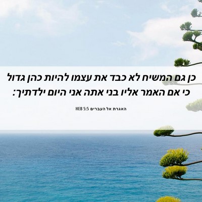 Picture 06 - האגרת אל העברים 5:5 HEB - כן גם המשיח לא כבד את עצמו - Bible Verse Picture