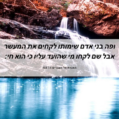 Picture 06 - האגרת אל העברים 7:8 HEB - ופה בני אדם שימותו לקחים את - Bible Verse Picture