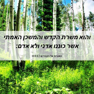 Picture 06 - האגרת אל העברים 8:2 HEB - והוא משרת הקדש והמשכן - Bible Verse Picture