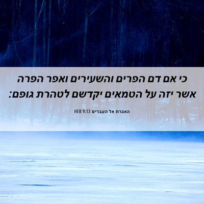Picture 06 - האגרת אל העברים 9:13 HEB - כי אם דם הפרים והשעירים - Bible Verse Picture