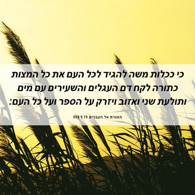 Picture 06 - האגרת אל העברים 9:19 HEB - כי ככלות משה להגיד לכל העם - Bible Verse Picture
