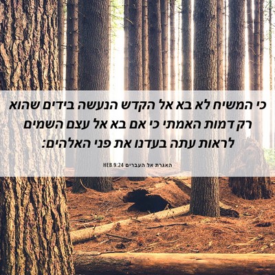 Picture 06 - האגרת אל העברים 9:24 HEB - כי המשיח לא בא אל הקדש - Bible Verse Picture
