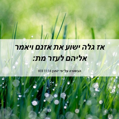 Picture 06 - הבשורה על־פי יוחנן 11:14 HEB - אז גלה ישוע את אזנם ויאמר - Bible Verse Picture