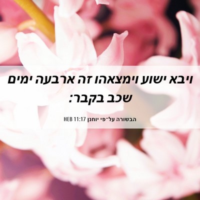 Picture 06 - הבשורה על־פי יוחנן 11:17 HEB - ויבא ישוע וימצאהו זה ארבעה - Bible Verse Picture