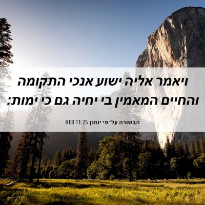 Picture 06 - הבשורה על־פי יוחנן 11:25 HEB - ויאמר אליה ישוע אנכי - Bible Verse Picture