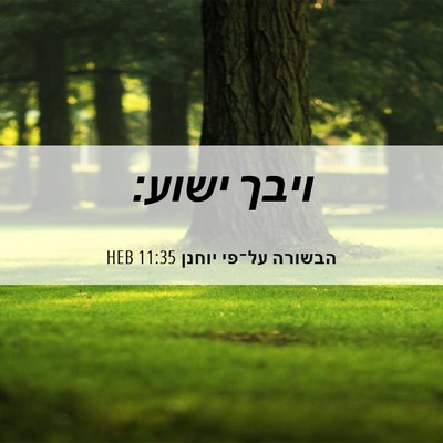 Picture 06 - הבשורה על־פי יוחנן 11:35 HEB - ויבך - Bible Verse Picture