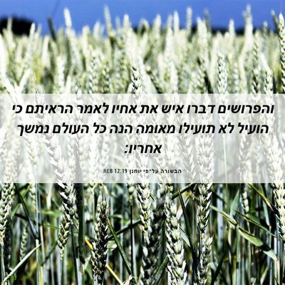 Picture 06 - הבשורה על־פי יוחנן 12:19 HEB - והפרושים דברו איש את אחיו - Bible Verse Picture