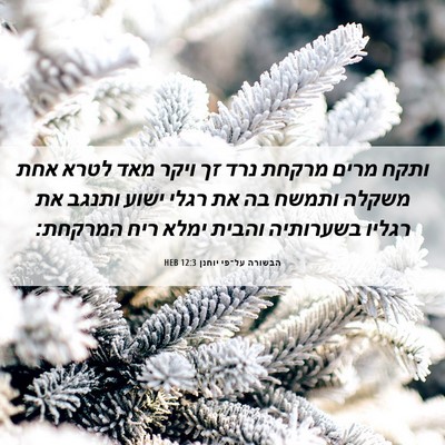 Picture 06 - הבשורה על־פי יוחנן 12:3 HEB - ותקח מרים מרקחת נרד זך ויקר - Bible Verse Picture