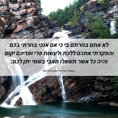 Picture 06 - הבשורה על־פי יוחנן 15:16 HEB - לא אתם בחרתם בי כי אם אנכי - Bible Verse Picture