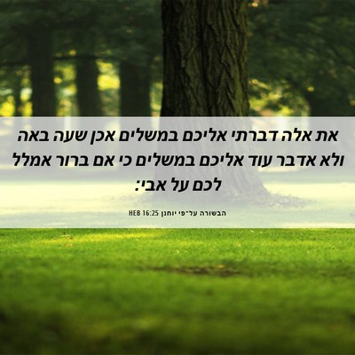 Picture 06 - הבשורה על־פי יוחנן 16:25 HEB - את אלה דברתי אליכם במשלים - Bible Verse Picture