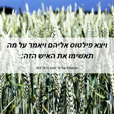 Picture 06 - הבשורה על־פי יוחנן 18:29 HEB - ויצא פילטוס אליהם ויאמר על - Bible Verse Picture