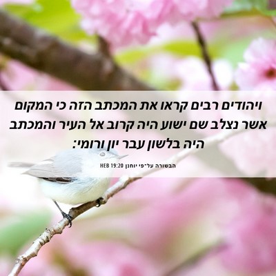 Picture 06 - הבשורה על־פי יוחנן 19:20 HEB - ויהודים רבים קראו את המכתב - Bible Verse Picture