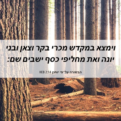 Picture 06 - הבשורה על־פי יוחנן 2:14 HEB - וימצא במקדש מכרי בקר וצאן - Bible Verse Picture