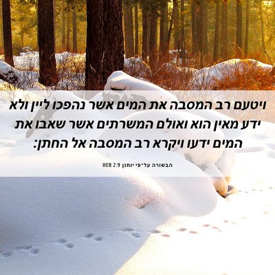 Picture 06 - הבשורה על־פי יוחנן 2:9 HEB - ויטעם רב המסבה את המים אשר - Bible Verse Picture