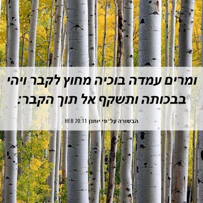 Picture 06 - הבשורה על־פי יוחנן 20:11 HEB - ומרים עמדה בוכיה מחוץ לקבר - Bible Verse Picture