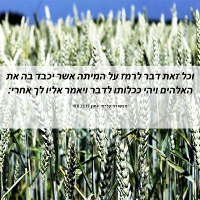 Picture 06 - הבשורה על־פי יוחנן 21:19 HEB - וכל זאת דבר לרמז על המיתה - Bible Verse Picture