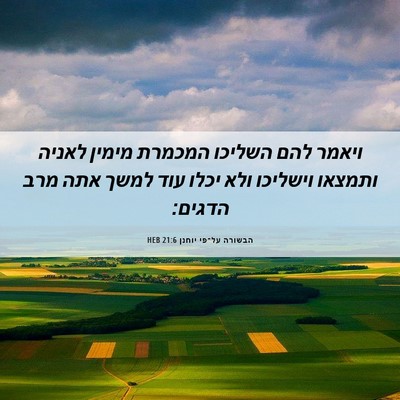 Picture 06 - הבשורה על־פי יוחנן 21:6 HEB - ויאמר להם השליכו המכמרת - Bible Verse Picture